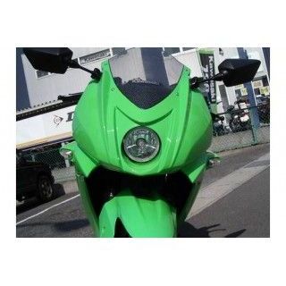 プレジャー Ninjya250R デルタウインカー Ninja250R カラー メタリックアイランドブルー PK31306