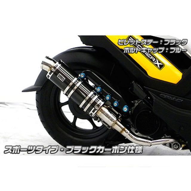 ウイルズウィン ズーマーX用 アニバーサリーマフラー スポーツタイプ ブラックカーボン仕様 ズーマーX ビレットステー ブラック ボルトキャップ シルバー オプション オプションB｜モトメガネ 店
