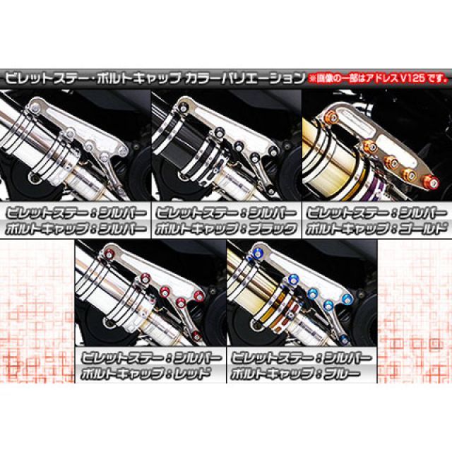無料雑誌付き Wiruswin ズーマーx マフラー本体 ズーマーx用 アニバーサリーマフラー ポッパータイプ ステンレス仕様 ビレットステー シルバー ボルトキャップ シルバー オプション オプションb ウイルズウィン Painfreepainrelief Com