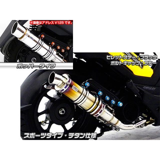 ウイルズウィン ズーマーX用 アニバーサリーマフラー ポッパータイプ チタン仕様 ズーマーX ビレットステー シルバー ボルトキャップ ブルー オプション オプションB|モトメガネ 店
