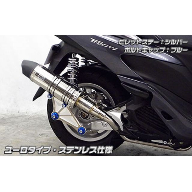 ウイルズウィン トリシティ125用 アニバーサリーマフラー ユーロタイプ ステンレス仕様 トリシティ125 ビレットステー シルバー ボルトキャップ シルバー オプション なし
