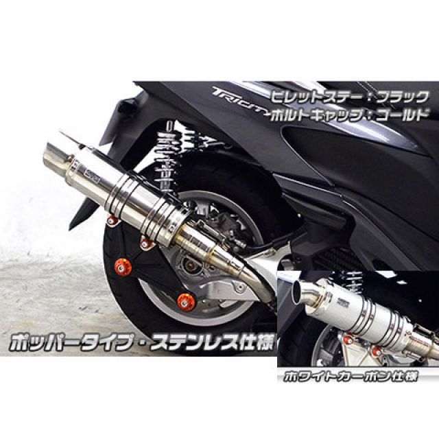 ウイルズウィン トリシティ125用 アニバーサリーマフラー ポッパータイプ ホワイトカーボン仕様 トリシティ125 ビレットステー ブラック ボルトキャップ レッド オプション オプションB｜モトメガネ 店