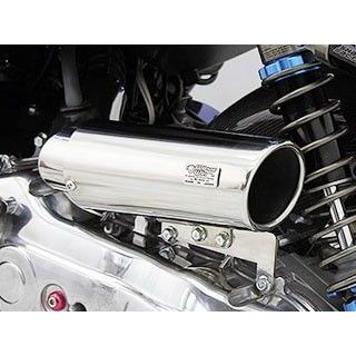 ウイルズウィン BW’S125用 キャリパータイプ エアクリーナーキット BW’S125
