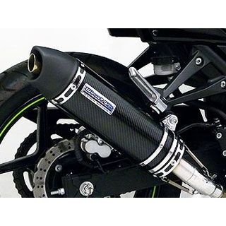 ウイルズウィン Ninja250R用スリップオンマフラー ユーロタイプ【JMCA認証】 Ninja250R サイレンサー ステンレス仕様 30,464円