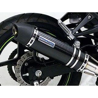 ウイルズウィン Ninja250R用ダイナミックマフラー ユーロタイプ【JMCA認証】 O2センサー取付口対応 Ninja250R サイレンサー ステンレス仕様