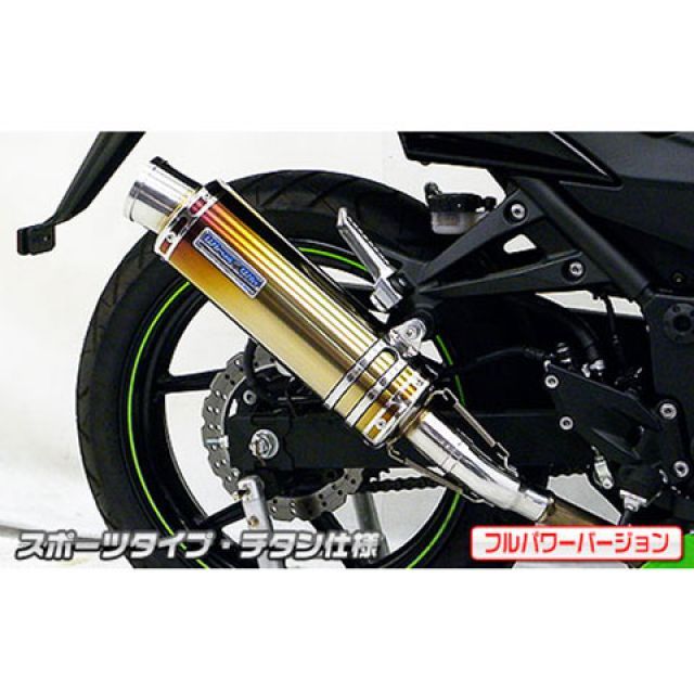 ウイルズウィン Ninja250R（JBK-EX250K）用スリップオンマフラー スポーツタイプ フルパワーバージョン Ninja250R サイレンサー ブラックカーボン仕様