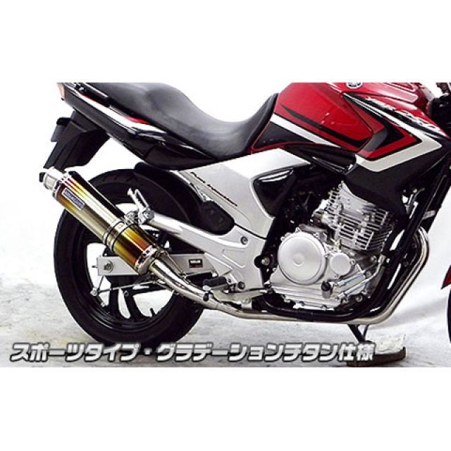 ウイルズウィン YBR250（PCNLD）用 ダイナミックマフラー スポーツタイプ（O2センサー取付口付） YBR250 サイレンサー グラデーションチタン仕様