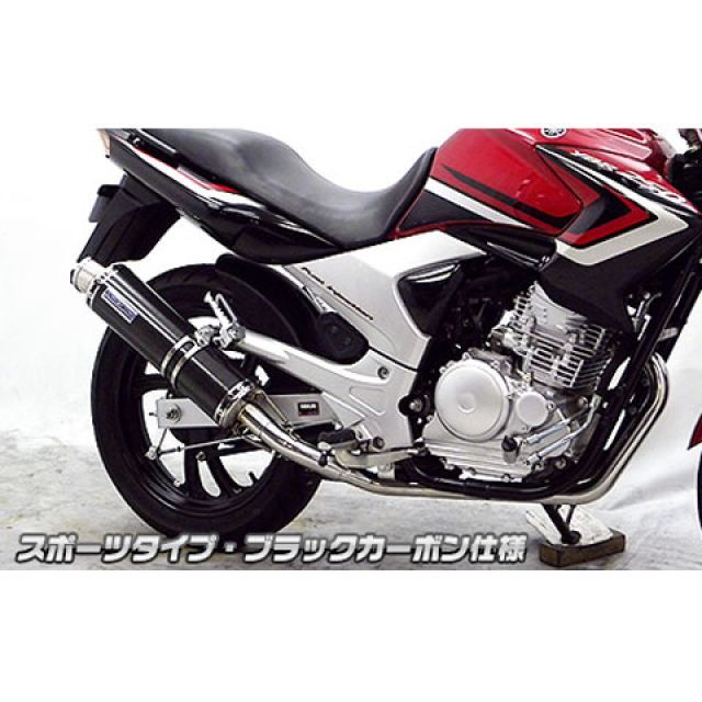 ウイルズウィン YBR250（PCNLD）用 ダイナミックマフラー スポーツタイプ（O2センサー取付口付） YBR250 サイレンサー ブラックカーボン仕様
