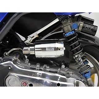 ウイルズウィン BW’S125用 ブリーズタイプ エアクリーナーキット BW’S125 カラー シルバーメッキ
