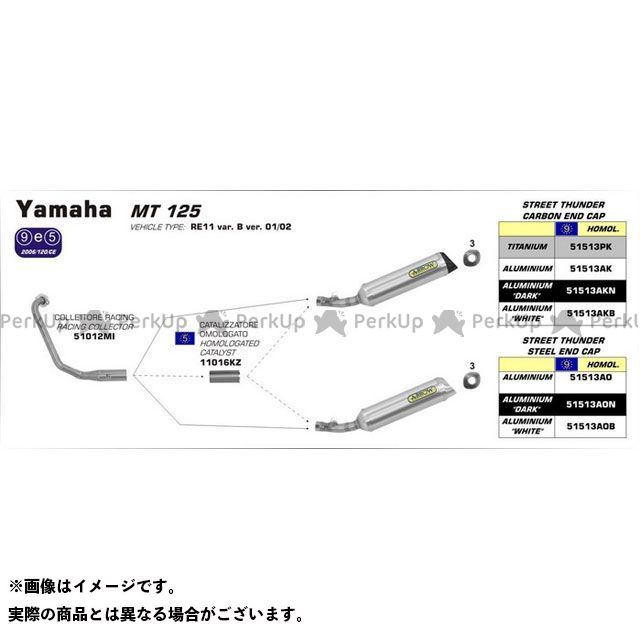 無料雑誌付き Arrow インナーサイレンサー Yamaha Mt 125 14 Homologated Aluminium Thunder Silencer For Collector ao アロー Painfreepainrelief Com