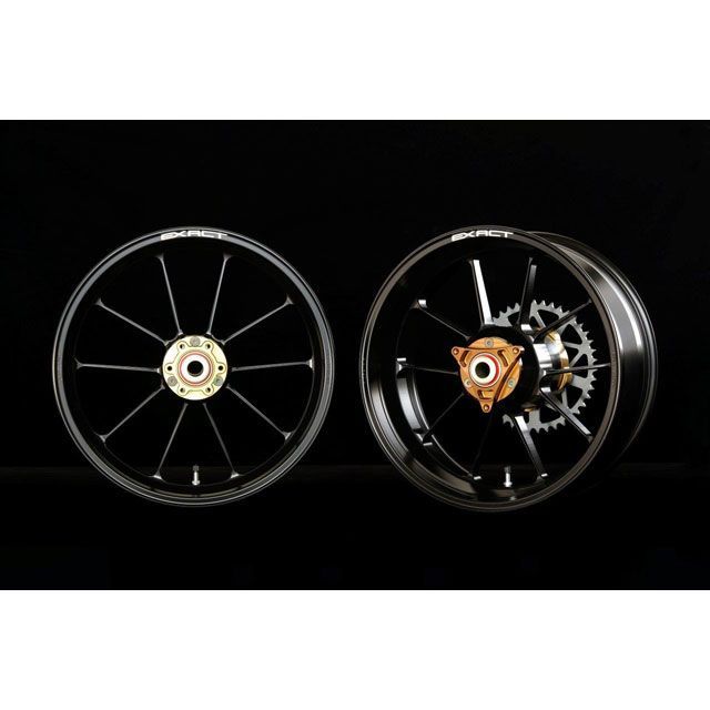アドバンテージ ADVANTAGE EXACT RACING 10 フル鍛造マグネシウームホイール(半艶ブラック:300/450-17) NSR250 5410R-H031-SB|モトメガネ 店