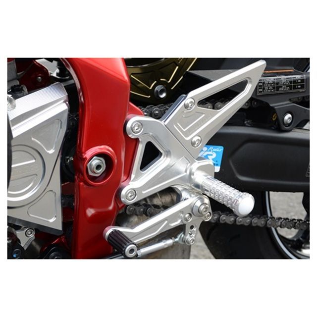 アグラス バックステップ ZX-25R 312-403-003|モトメガネ 店