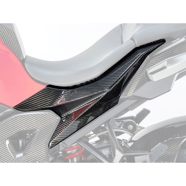 ワンダーリッヒ テールフェアリング LH S1000XR W20203-001