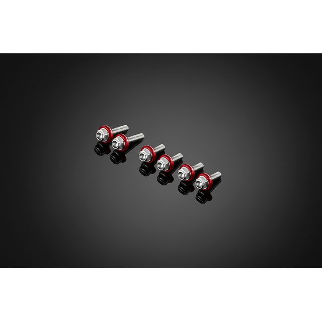 楽天市場】S-PARTS エスパーツ スクリーン用チタンボルトセット ZX-4R
