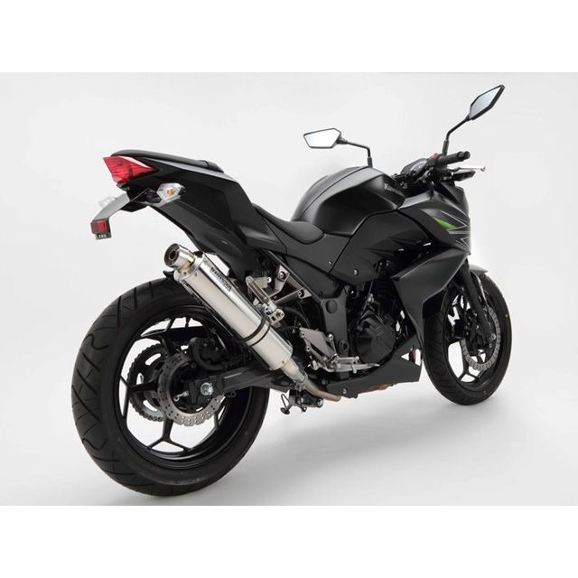 BMS R-EVO スリップオン Z250 サイレンサー ステンレスポリッシュ D416-53-P6S