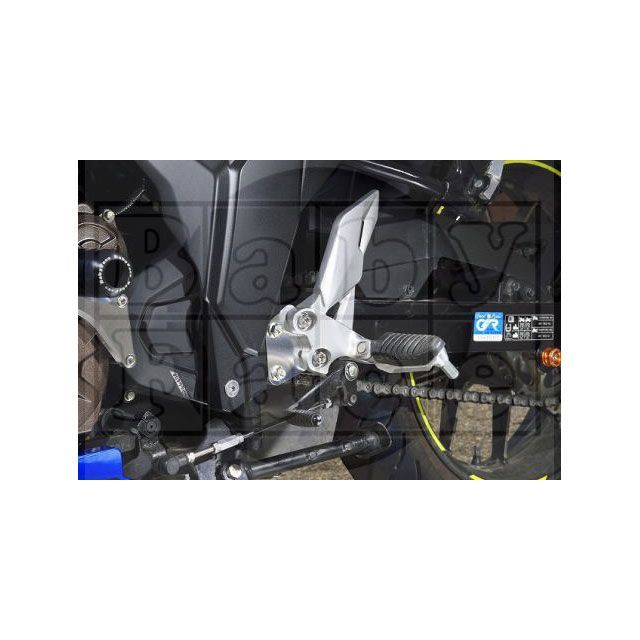 ベビーフェイス セットバックプレート GIXXER 250/SF250 002-BS003SV