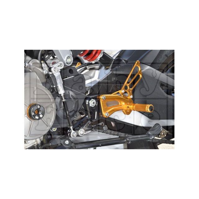 ベビーフェイス バックステップキット シフタースイッチ無 TUONO660 RS660 カラー シルバー 002-A015SV