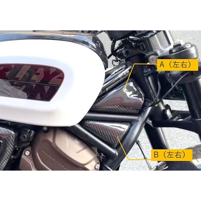 モーターステージ ドライカーボン フロントフレームカバー A スポーツスターS 22125003|モトメガネ 店