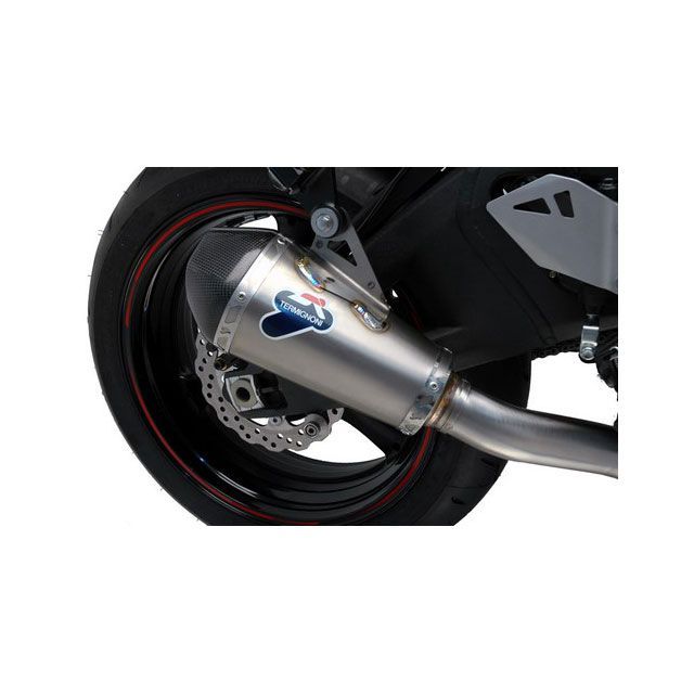 テルミニョーニ ファイナルボディー DE-CAT C.FIN ZX10 2010 NO CAT ファイナルボディー スリーブ： ステンレス ZX 10 R ter_K069CF000I
