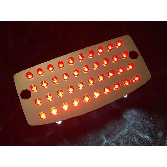 フロムネイバー レブル250（17～19）/Rebel250/レブル500（17～19）/Rebel500用LEDテールユニット レブル250/Rebel250 レブル500/Rebel500