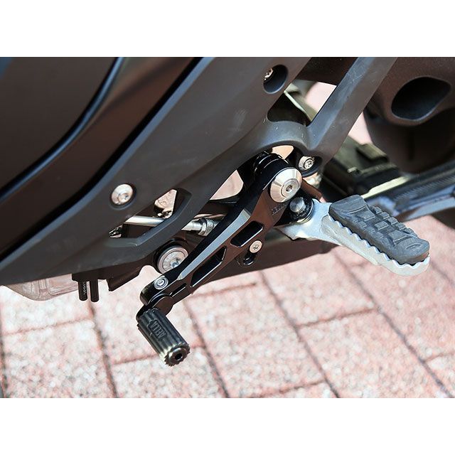 アエラ チェンジペダル（ブラックアルマイト） R1300GS（ツーリングのみ） AE-46022 BK