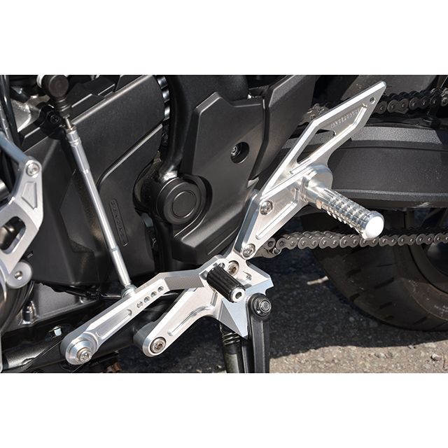 アグラス バックステップ HAWK11 312-186-000