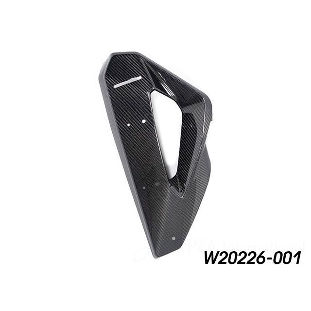 ワンダーリッヒ カーボン ラジエーターフェアリング&ウイングレットマウント 左側 M1000XR W20226-001|モトメガネ 店