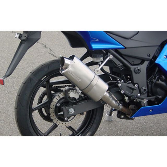 【メーカー直送】スーパーバイク Ninja250 S.P.L Type-Ov Ninja250 68216-288844｜モトメガネ 店