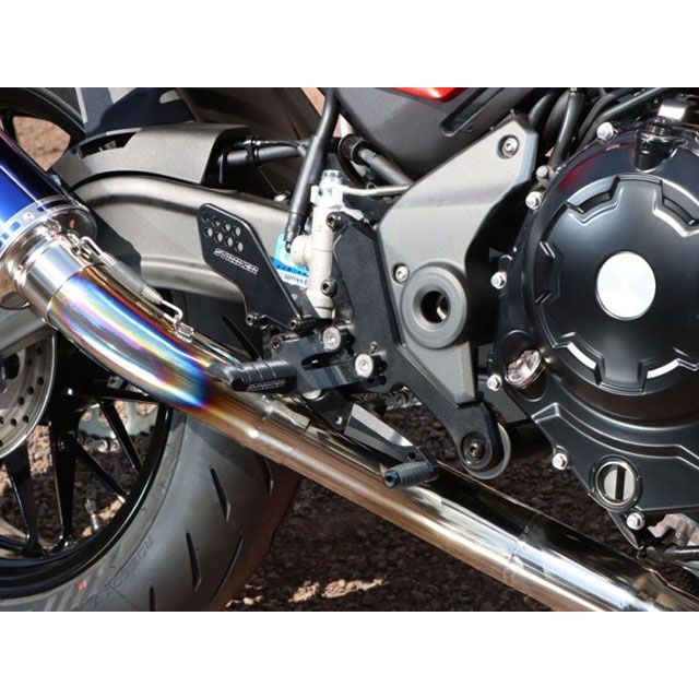 ストライカー スポーツツーリングコンセプト(STC)ステップキット 4ポジション 22 Z650RS(ブラック) Z650RS SS-ST2164B|モトメガネ 店