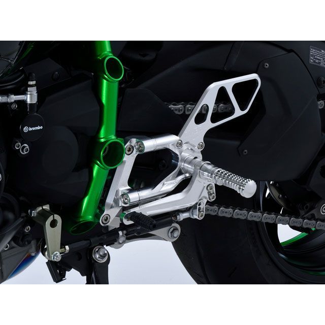 オーバーレーシング バックステップ 4ポジション Ninja H2 カラー シルバー ・51-87-01