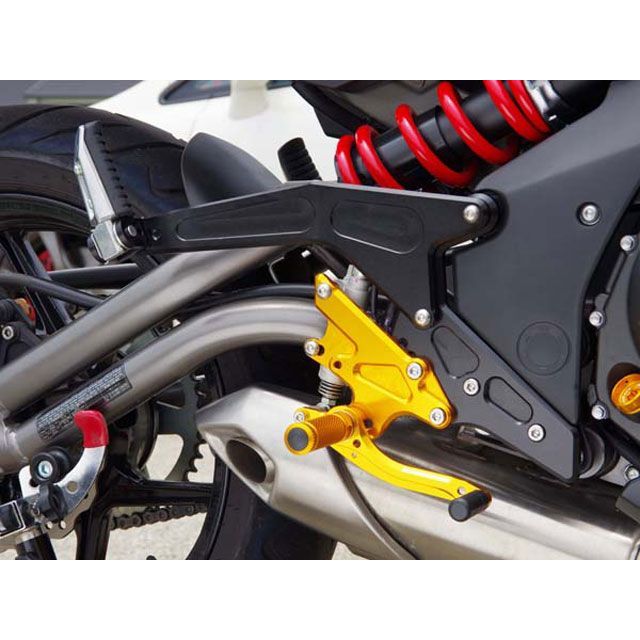 ベビーフェイス タンデムブラケット Ninja650/ER6f/n カラー ゴールド 002-K022GDT|モトメガネ 店