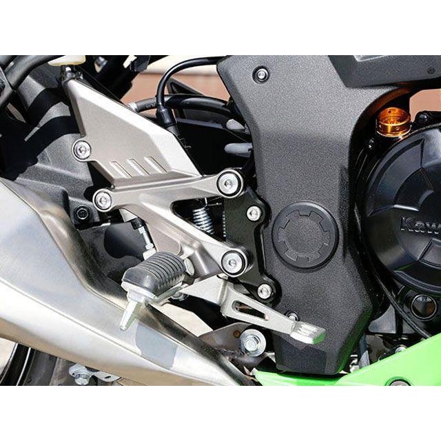 ベビーフェイス セットバックプレート Ninja250SL 002-BK002BK