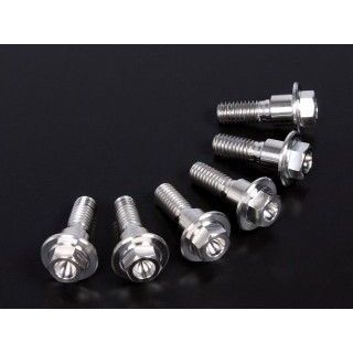 ジータ チタン ブレーキディスクボルト フランジ φ8-M6×20（6本） フロント D6935