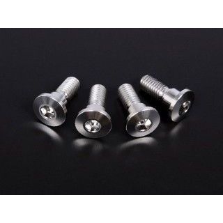 ジータ チタン ブレーキディスクボルト 極低頭 φ10-M8×22(4本) フロント/リヤ D6916
