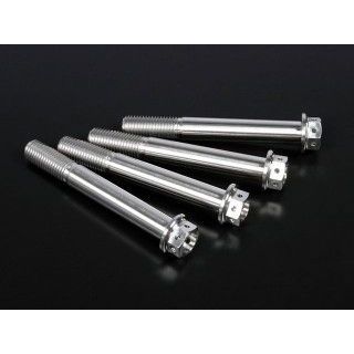 ジータ チタン キャリパーマウントボルト M10 P=1.25 汎用 サイズ M10×75mm D6963|モトメガネ 店