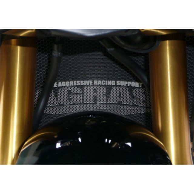 アグラス コアガード YZF-R6 タイプ Bタイプ(AGRASロゴ無し) 309-270-B00|モトメガネ 店