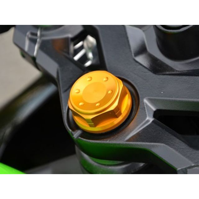 アグラス トップブリッジセンターナット M25×P1.0 Ninja250SL カラー レッド 446-025-100R