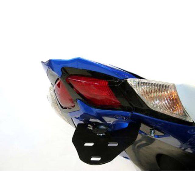 アールアンドジー フェンダーレスキット（ブラック） GSX-R1000 RG-LP0077BK｜モトメガネ 店
