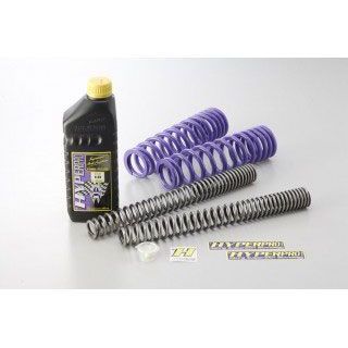 ハイパープロ ローダウンスプリング(コンビキット) 約-30mm ER-6N 22071462|モトメガネ 店