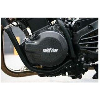 トリックスター ジェネレーターカバー Ninja250R TS-GC-015|モトメガネ 店