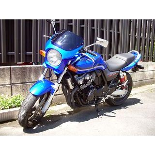 ワールドウォーク 汎用ビキニカウル DS-01 typeR（キャンディーフェニックスブルー） ds-01r-30｜モトメガネ 店