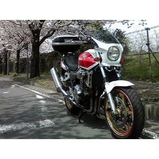 ワールドウォーク 汎用ビキニカウル DS-01 typeR（パールフェイドレスホワイト） ds-01r-38