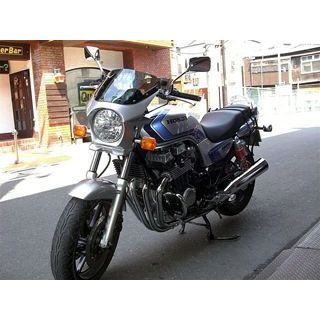 ワールドウォーク 汎用ビキニカウル DS-01 typeR（デジタルシルバーメタリック） ds-01r-45