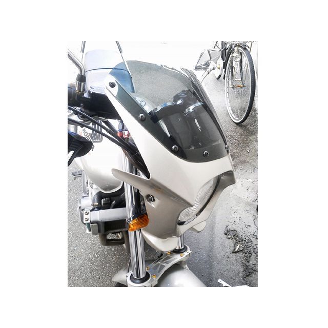 ワールドウォーク 汎用ビキニカウル DS-01 typeR（スパークリングシルバーメタリック） ds-01r-h6