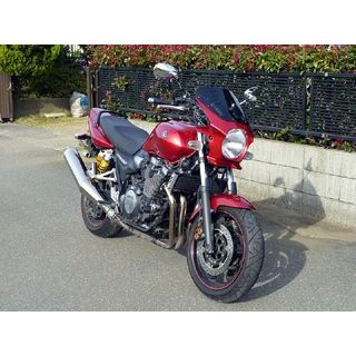 ワールドウォーク 汎用ビキニカウル DS-01 typeR（ディープレッドメタリックk） SR400 XJR1300 ds-01r-y4 18,782円