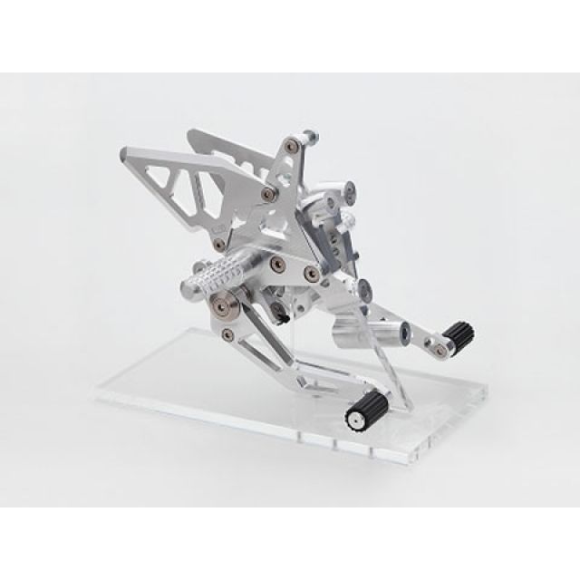 アエラ ライディングステップキット 1299/1199/899PANIGALE カラー ポリッシュ AE-10079 PO