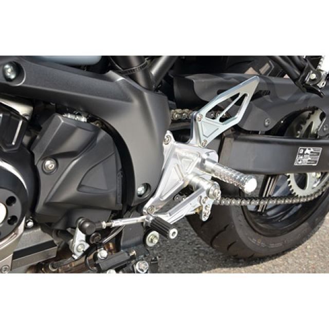 アグラス バックステップ SV650 312-304-000