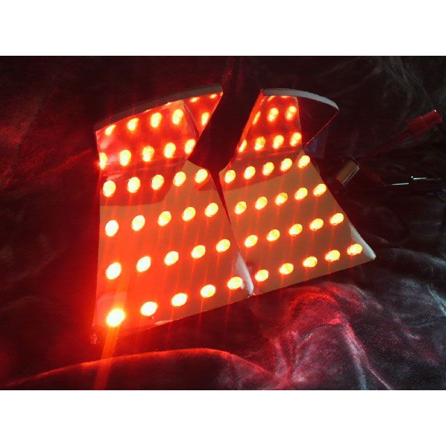 フロムネイバー FJR1300A/FJR1300AS/FJR1300（06～）用LEDテールユニット FJR1300AS FJR1300A｜モトメガネ 店