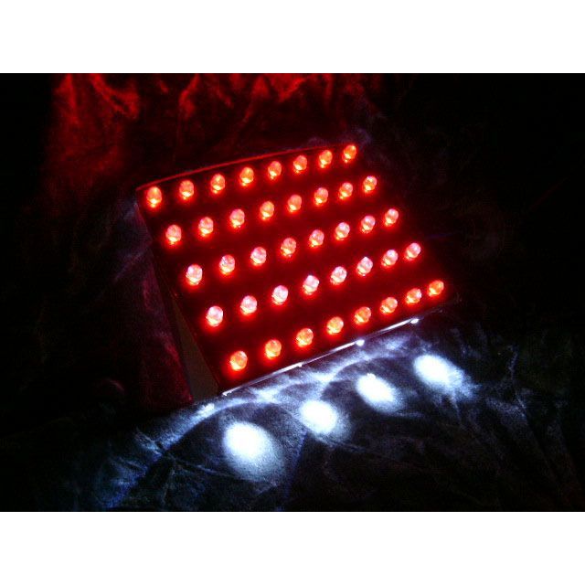 フロムネイバー ZZ-R1100C/ZX-10/ZX-11用LEDテールユニット