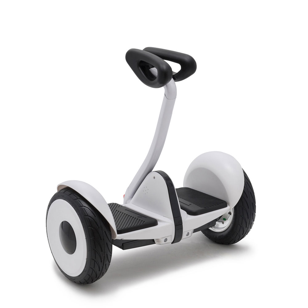熱販売 6.5インチ パープル色 バランススクータ― ミニセグウェイ - 三輪車/乗り物 - www.ucs.gob.ve 熱販売 6.5インチ パープル色 バランススクータ― ミニセグウェイ - 三輪車/乗り物 - www.ucs.gob.ve